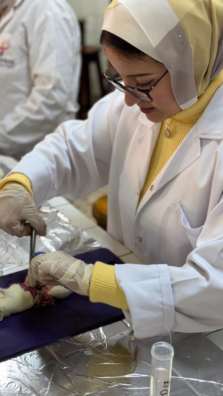 Naiera  Ahmed Said Mohamed